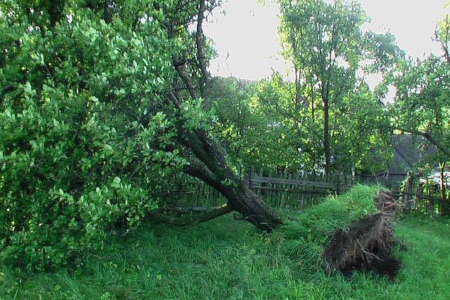 Po búrke, 24. august 2007